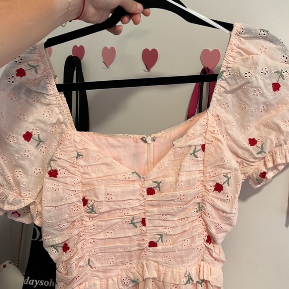 Hello Molly Pink Roses Dress - Picture 7 of 7